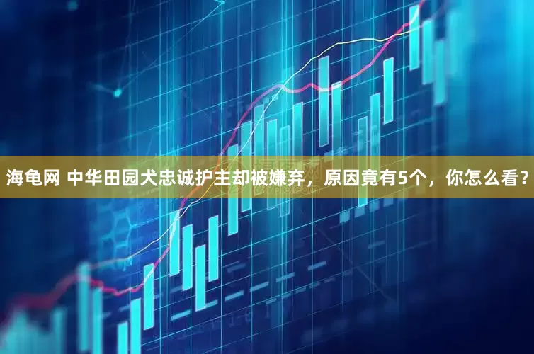 海龟网 中华田园犬忠诚护主却被嫌弃，原因竟有5个，你怎么看？