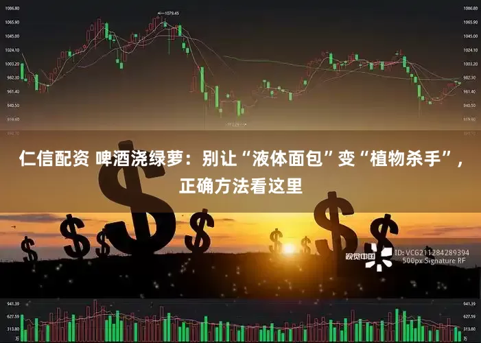 仁信配资 啤酒浇绿萝：别让“液体面包”变“植物杀手”，正确方法看这里